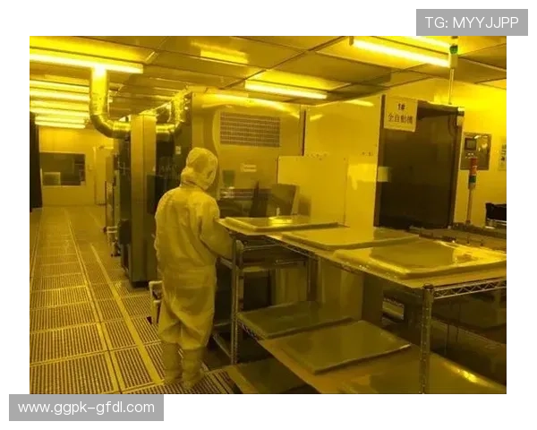 威龙国际:引领行业发展潮流的创新产品与优质服务体系建设 威龙国际:引领行业发展潮流的创新产品与优质服务体系建设